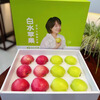 Shuaidui Shaanxi Baishui Ruixue Apple Authentic 2025 Season Fresh Crisp Sweet Fragrant Green Apple Premium Fruit Gift Box Full Box Gift Box 12 Pieces Double A-Grade Large Fruit (About 6 Jin)