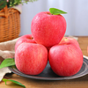 Quan Shenglong Shaanxi Baishui Red Fuji Apple 2025 New Fruit Seasonal Fruit Crisp and Sweet Optional Festival Gift Box Red Fuji 4.5 catties 75-80mm