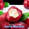 Jingdida Gansu Tianshui Huaniu Apple Fruit Gift Box Holiday Gift 12 Pieces Net Weight 7 Jin Single Fruit 250g + Free Shipping from Source