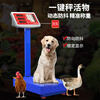 Yongcai (YONGCAI) electronic scale, commercial high-precision electronic scale, floor-standing charging weighing platform scale, household scale, stall business scale, vegetable selling smart pricing scale, express scale, industrial counting scale, 150 kg, wear-resistant steel button, black text display, thickened 30*40 plate