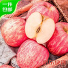 Jingxiansheng Shandong Yantai Red Fuji Apples 9 pounds, fruit diameter starting from 80mm, fresh fruit, direct shipping from the source, free shipping