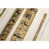 Collection of bamboo slips and silk calligraphy Dunhuang Maquanwan Han bamboo slips calligraphy (collection)