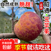 Authentic Yunnan Zhaotong Rock Candy Heart-Ugly Apple Fresh Fruit Zhaotong Apple Seasonal Crisp Sweet Fruit Origin Straight Hair 5 Jin 80-85mm Large Fruit l High Cost Performance