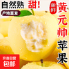 Authentic Huang Yuan Shuai Apple Fresh Fruit Seasonal Baby Noodles Golden Shuai Yellow Banana 9 Jin Whole Box 9 Jin Pack 80mm-85mm