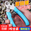 Screw butt cutting tool, special tail scissors for snails, snails, stone snails, labor-saving, non-slip tail removal pliers, screw scissors - large size - 17cm + small size - 15cm - 1