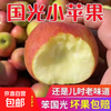 Fresh small Guoguang apples, authentic old tree Guoguang apples, sweet and sour seasonal fruits for pregnant women 5/10 jins, free shipping, 9-9.5 jins large fruits (with box)
