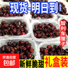 Chilean Cherry Crispy Sweet Imported Fruit Gift Box for Pregnant Women 250g (net weight) 3J Huihui 30-32mm Sweet