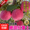 Red Fuji Apple Fresh Fruit Red Fuji Crisp Sweet Rock Candy Heart 2025 Season Full Box 10 Jin 5 Jin Free Shipping Full Box 10 Jin 80-85mm