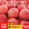 Shaanxi Luochuan Red Fuji Apple Crisp, Sweet and Fresh Full Box Fresh and Seasonal Box 10 Jin Net Weight 9 Jin 80mm