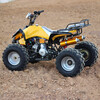 ATV four-wheel off-road motorcycle all-terrain vehicle ATV mountain bike adult gasoline 125cc differential shaft drive 8-inch small Mars road vacuum tire 6-inch chain transmission standard model
