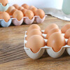 Mi Shuo egg storage box refrigerator cabinet egg box egg tray blue
