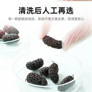 Gelsi secchi Qilixiang selezionati senza sabbia gelsi neri semi di gelso istantanei e tè di gelso grande frutto D acquista 1. ricevi 1 gratis 2 lattine in totale 500 g