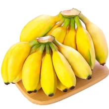 彼女は広西チワン族自治区のキビバナナ新鮮なバナナ甘酸っぱい果物季節のバナナオオバコ2キャティ