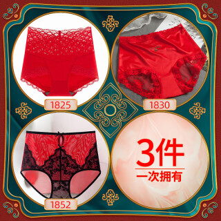 Zodiac Year Underwear Women's Dragon Year Big Red New Year Pure Cotton  Antibacterial Girls 2024 New Mid-waist Shorts