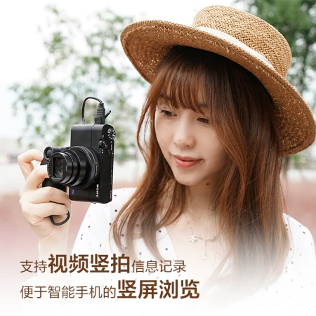 Sony SONYDSC-RX100M7G Black Card Digital Camera Vlog Video Handle Set 24-200mm Lens 4K Video RX100 VII/Black Card 7