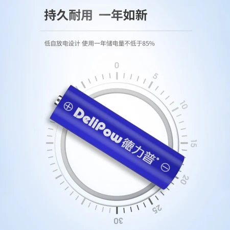 Delipow Rechargeable Battery No. 5/No. 7 Battery with 12 Cells Charger Set Charger + 12 Batteries [5 No. 7 No. 6 Each]