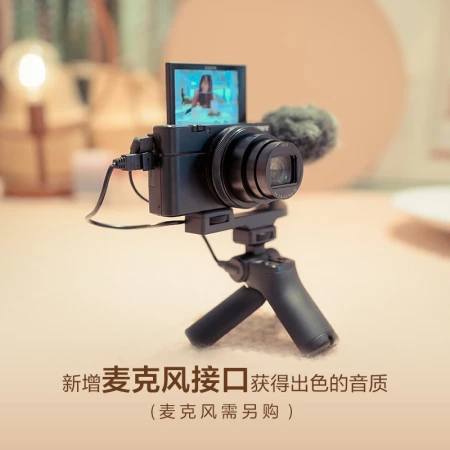 Sony SONYDSC-RX100M7G Black Card Digital Camera Vlog Video Handle Set 24-200mm Lens 4K Video RX100 VII/Black Card 7