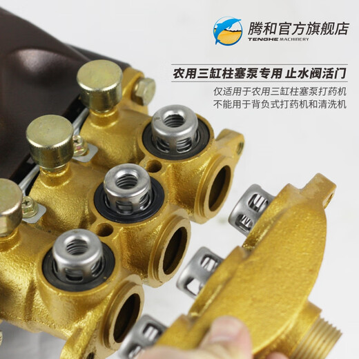 Tenghe valve water stop valve 21/26/30/80/120 agricultural three-cylinder plunger pump sprayer maintenance accessories seal 22/26 water stop valve valve (outer diameter 28mm)