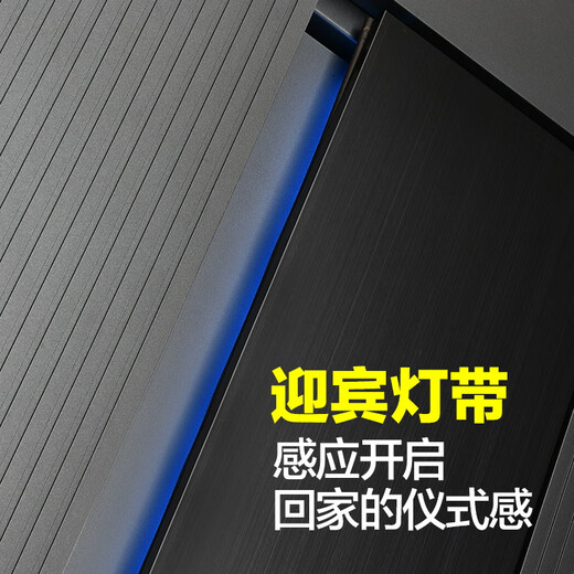 纵航者精雕铸铝门智慧门防盗门入户门智慧大屏全屋智联智能门T型门 2250*1050（单门）