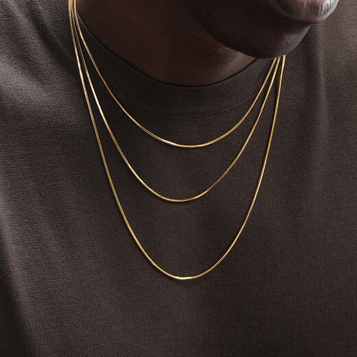 Fat Donglai's same necklace for men, 24K gold-plated snake bone chain, hip-hop versatile clavicle chain for women, 50cm