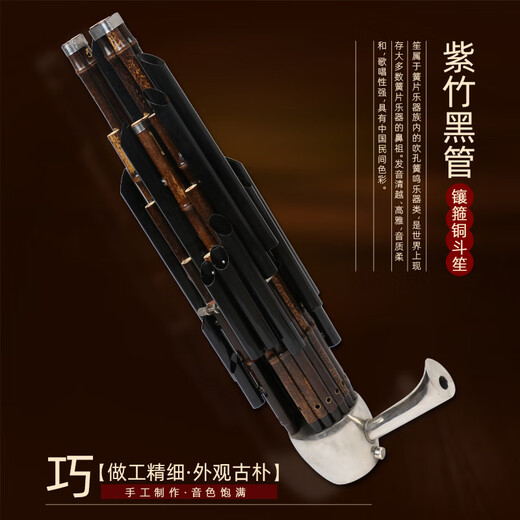 Instrument Sheng pour débutants 14 roseaux carrés sheng 17 roseaux 21 roseaux ronds sheng B plat CED clé débutant sheng instrument 14 roseaux violet bambou tube blanc cuivre doosheng-D clé