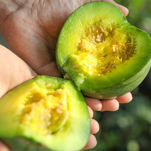 Shouhe Green Skin Melon Seeds Large Whole Melon Lvbao Melon Seeds 50 capsules/bag