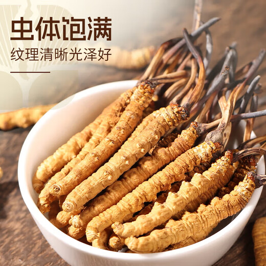 源江草冬虫夏草 新干虫草滋补品送父母长辈滋高端礼盒 3根/g 50克【商务甄选】