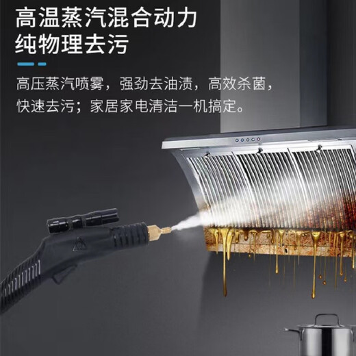 Ruizhi household high-pressure and high-temperature steam cleaner, household appliances, range hood, air conditioner, kitchen multi-function equipment, special cleaning all-in-one machine to disinfect car beauty film interior 3500W four-in-one (cold water and hot water steam pulse)