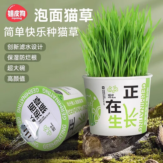 Hippie dog (hipidog) cat grass potted wheat seed nursery tray, lazy hydroponic hair ball, adult cat and kitten snacks, cat supplies, instant noodle cat grass