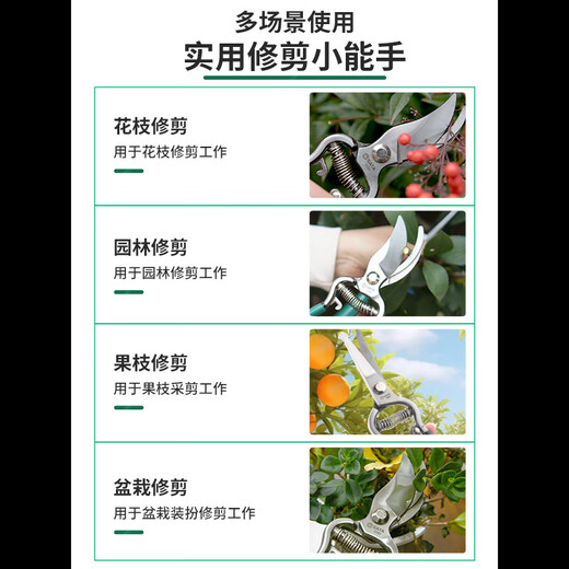 SATA 05901 8-inch curved blade pruning shears, garden pruning shears, heavy-duty garden pruning, fruit tree pruning, flower pruning shears