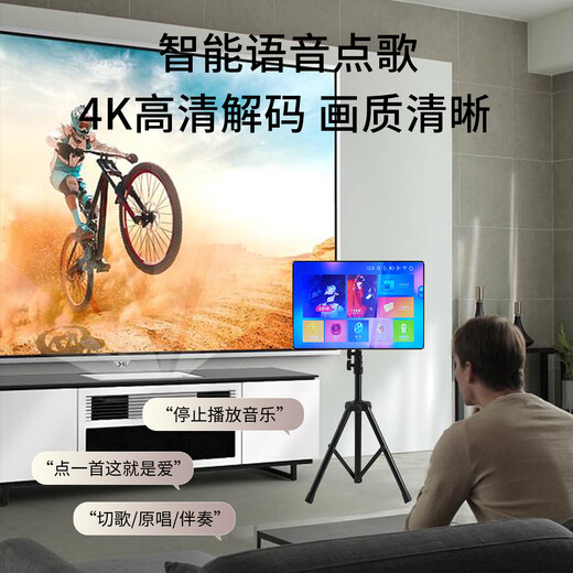 Chigo KTV-Kartenbeutel-Lautsprecherverstärker All-in-One-Heimkino Heavy Bass Smart Audio Karaoke Voller Karaoke-TV-Kartenbeutel + Verstärker + Geschenktüte