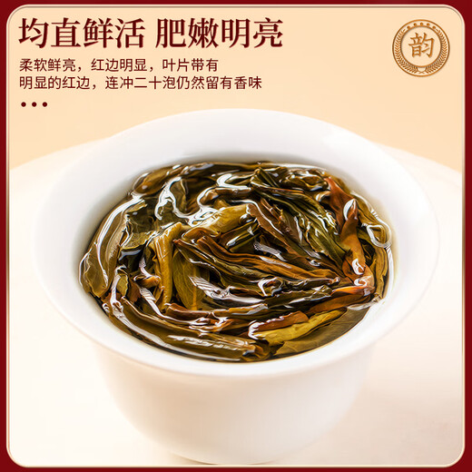 东方大师单枞茶叶乌龙茶凤凰单丛鸭屎香单丛广东年货礼盒装过节送礼送长辈 【精选5A热卖】- 250g*2罐