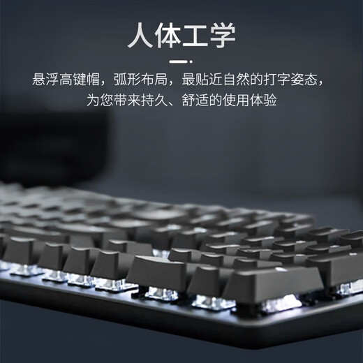 罗技（Logitech）机械键盘K845 有线键盘 全尺寸单光 TTC轴 游戏办公键盘 DIY键帽 K845茶轴+薰衣草键帽