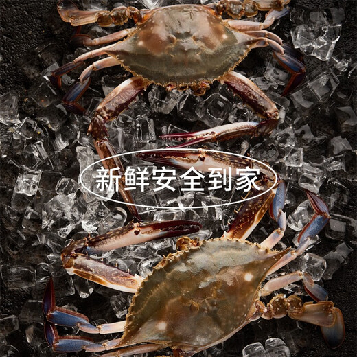 海鲜系列 C套餐1098型礼盒