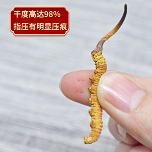 3 snowy areas in the Xiongfengdao area/gram Cordyceps sinensis Cordyceps gift box 25 grams pack 80 real hair