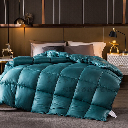 Down thickened feather winter quilt down/feather quilt 95 white goose down thickened warm winter quilt double spring and autumn quilt 8 Jin [Jin equals 0.5 kg] quilt core student single four-season quilt blue and gray 150*2004 Jin [Jin equals 0.5 kg] [already, Quality inspection]