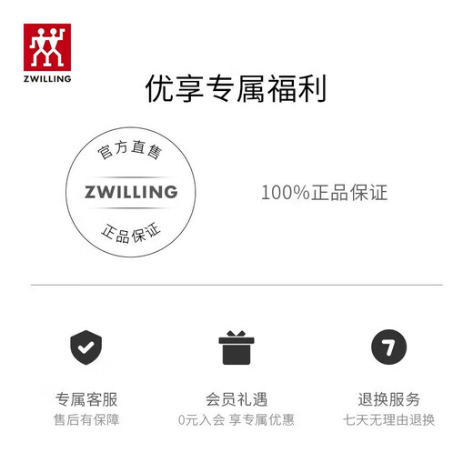 双立人（ZWILLING）NOW S系列小巧多用刀面包刀多功能水果刀户外厨刀 （不带刀套）