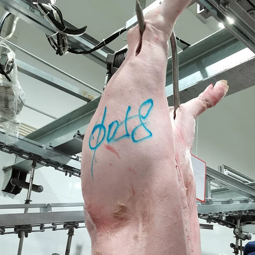 Huibojia 698 Marcador de cerdo impermeable y a prueba de aceite Beef lápiz soluble en agua de cerdo, bolígrafo de carne de carnicero de lápiz de cerdo de cordero [2 paquetes]