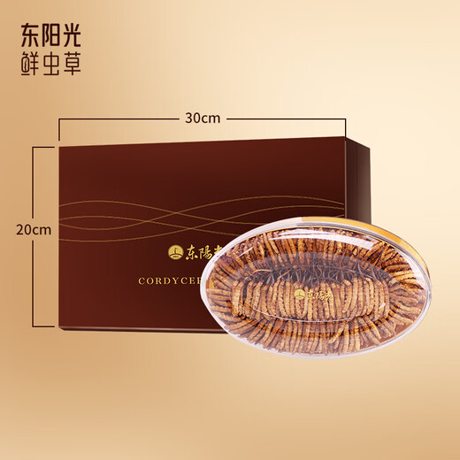 东阳光冬虫夏草3-4根/g75g约260根滋补礼盒冬虫草营养品补品送长辈老人