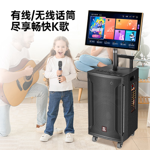 Manlong square dance audio high-power wireless microphone Bluetooth musical instrument Internet celebrity live broadcast mobile outdoor high-end karaoke machine singing trolley speaker W-12S audio dual microphone + gift package