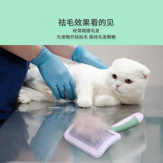 Dog Comb, Dog Hair Cleaner, Cat Hair Removal Comb, Teddy Bichon Needle Comb, Removing Floating Hair and Knotting Brush, Mint Green, Hair Removal, Fluffy Hair, No Specifications