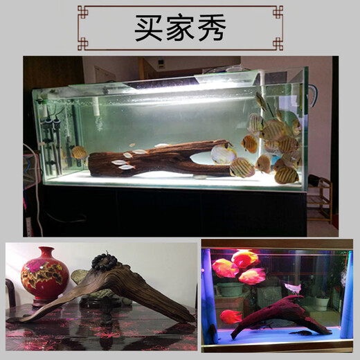 Large sinking wood 60-80cm fish tank landscaping ornaments Large tree stump dragon fish tank arch bridge sinking wood aquarium boutique khaki 16857 has been cooked in seconds
