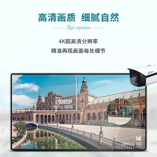 大华dahua 监控摄像头800万网络高清人脸识别全彩电动变焦 DH- IPC-HFW4843F1-ZYL-PV-AS(2.7-12MM)