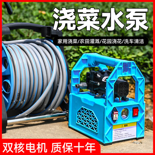 浇菜神器浇水机自动浇地抽水机农用灌溉锂电新型菜地充电式抽水泵 加长续航锂698AF电双核泵+20米