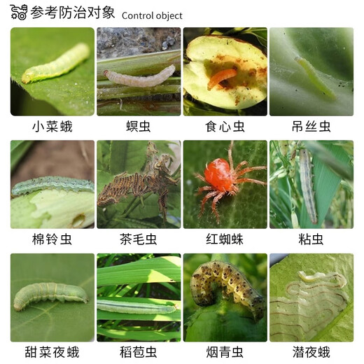 东合生物苏云金杆菌茵8000IU钻心虫菜青虫小菜蛾蔬菜兰花卉农药杀虫剂200g