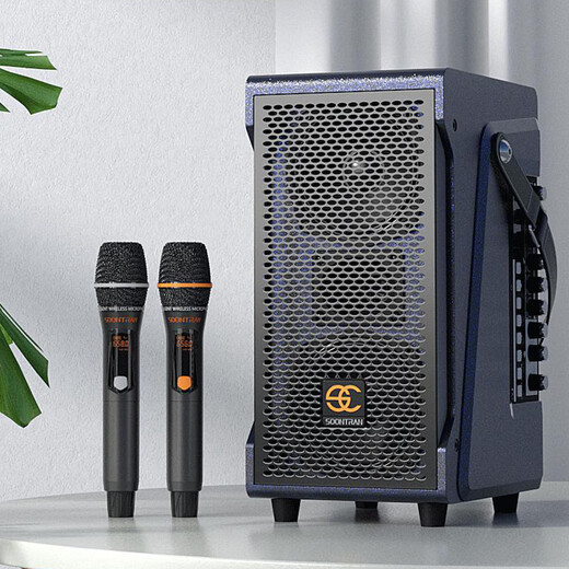 Songchuan International SC2 professional high-power performance karaoke audio sound card live broadcast karaoke outdoor trolley Bluetooth large speaker dual 5-inch live broadcast high-power audio + Bel Canto microphone