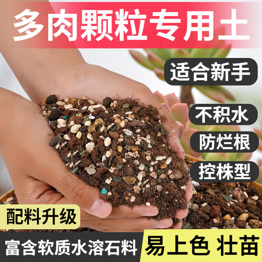 Flower Master Succulent Nutritional Soil Special Granular Soil Succulent Soil Potted Planting Soil for Seedlings and Old Piles Breathable Soil Luxurious Succulent Soil 5Jin Jin is equal to 0.5kg, universal for seedlings.