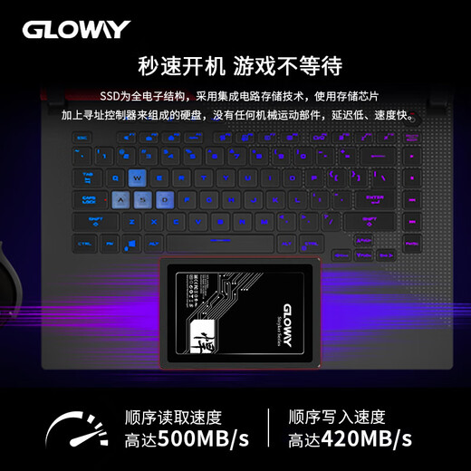 光威（Gloway）128GB SSD固态硬盘 SATA 3.0 500MB/s 笔记本/台式机通用 悍将系列