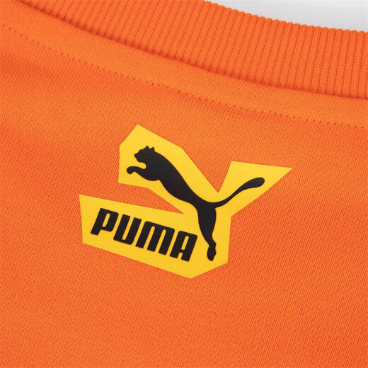 PUMA Men's Lifestyle Knitted Sweater 539968-23 Orange-23 L (180/100A) Asian Code L