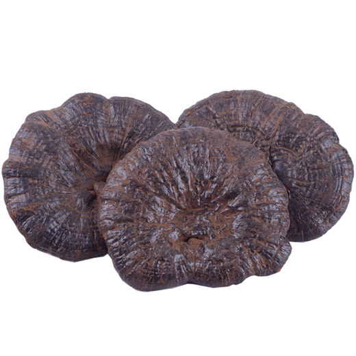 Guangdong Wei Ganoderma lucidum Dabie Mountain specialty Ganoderma lucidum planting with spore powder gift Purple Ganoderma lucidum 250g/bag
